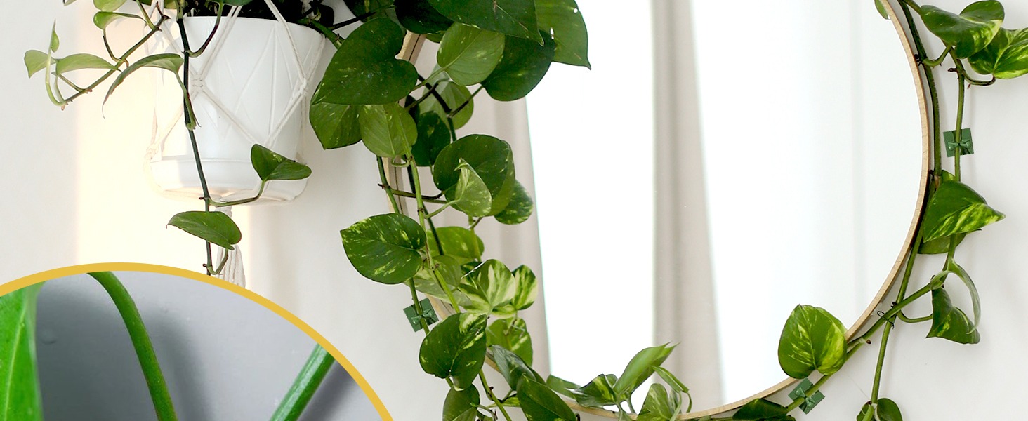 plant supports for outdoor plants vegetable storage cable clip wall adhesive garden clips climbing