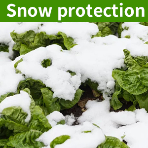 Plant Cover from Snow