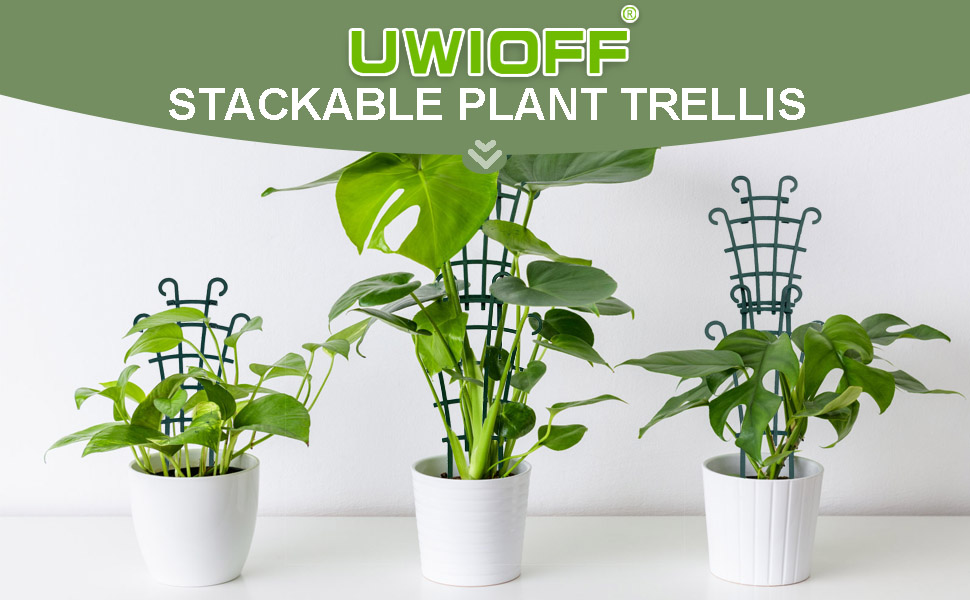 trellis for potted plants