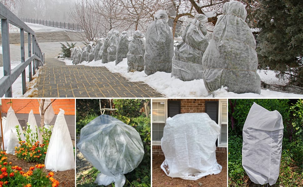 tree jacket frost blanket