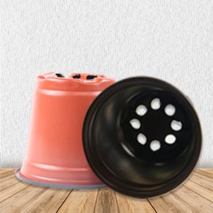 Plastic Plants Nursery Pot