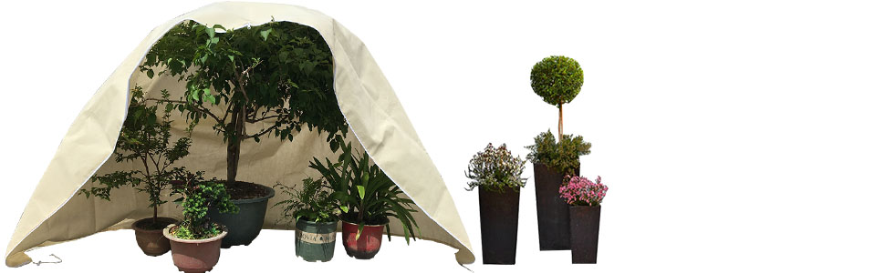 Tree cover
