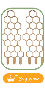 climbing plant trellis