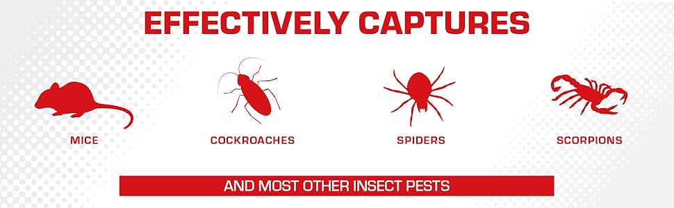 Tomcat Super Hold Glue Traps Mouse Size Effectively Captures Mice, Cockroaches, Spiders, Scorpions