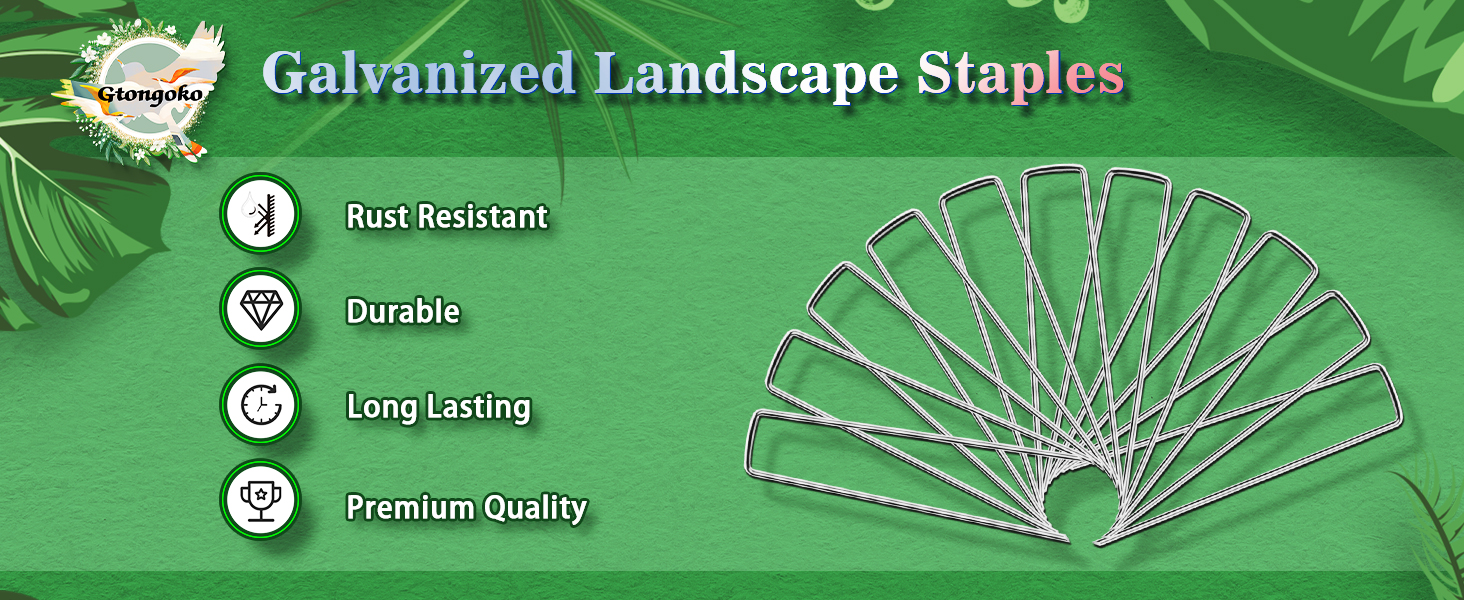 Landscape Staples-NEW01