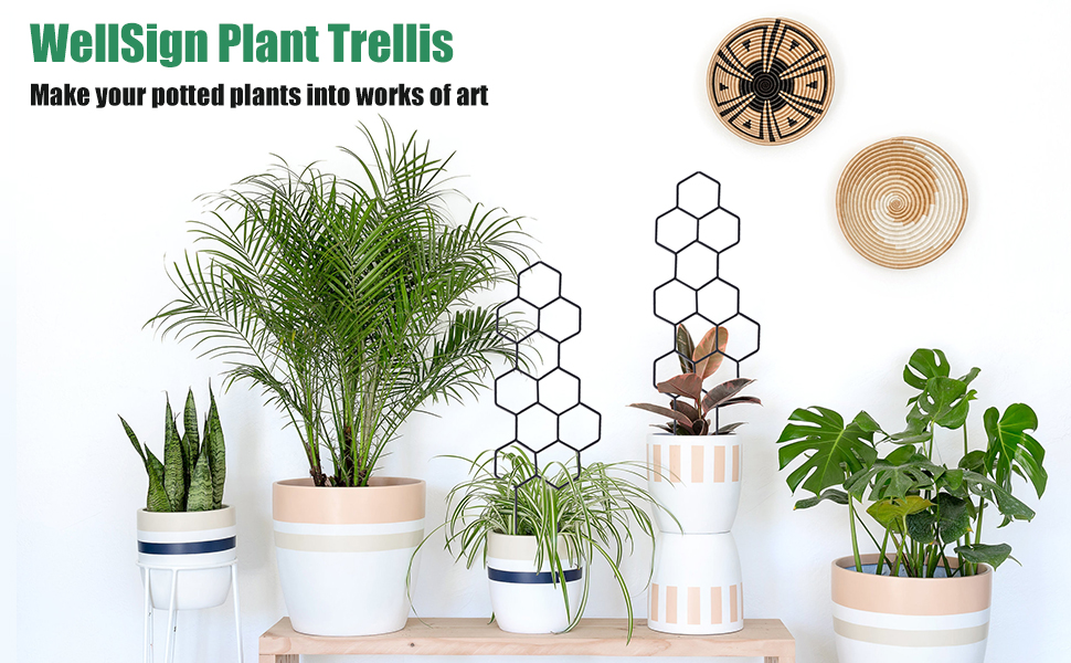 plant trellis