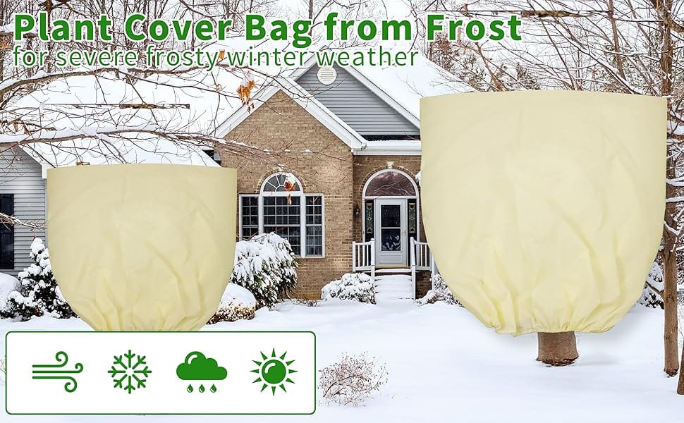 Plant Covers for Winter