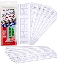 Window Fly Trap