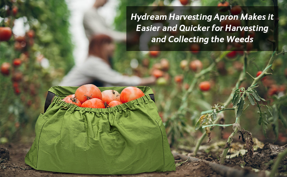 Harvesting Apron