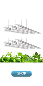 Barrina LED Grow Lights 42W-4FT 5000K