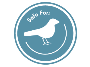 Safe for birds