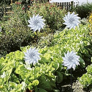 Reflective Pinwheels