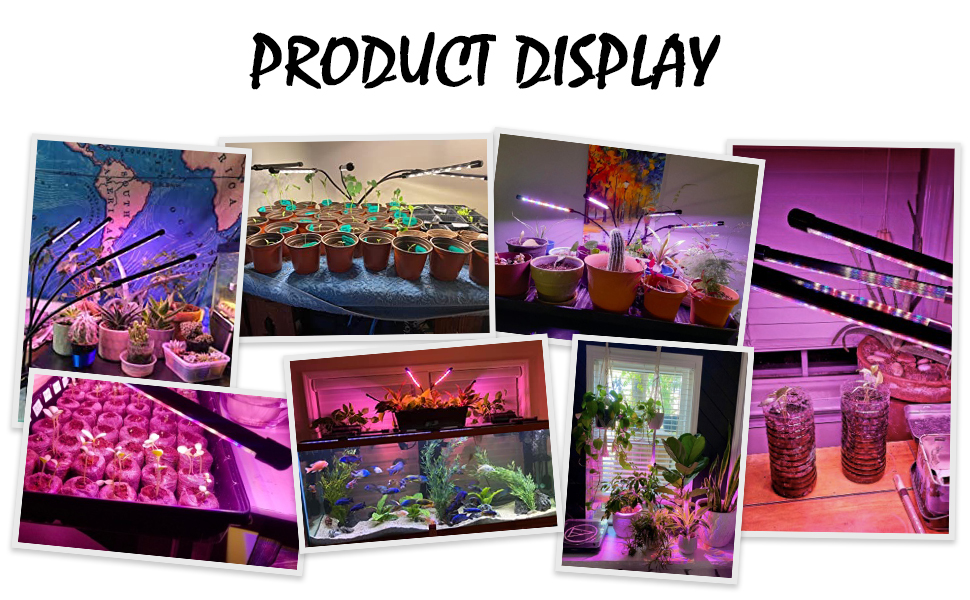 product display