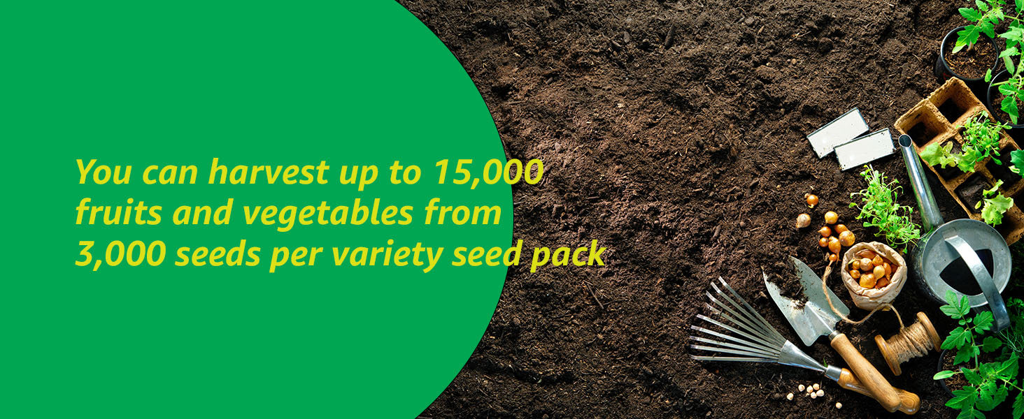 open seed vault heirloon seeds fruits vegetables