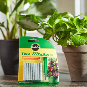 Plant Food Spikes Package