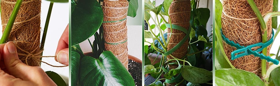 coir moss stick