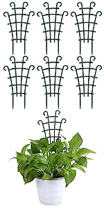 plant trellis