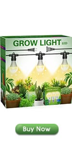 Grow Light String with 3 Pack A19 Bulbs