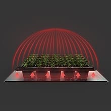 SUNCORE Seedling Heat Mat Indoor Home Gardening Hydroponic Germination Propagation Cloning