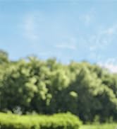 Rozlchar Portable Cordless Fan For DeWALT 18V 20V Battery, Work for DCB182 DCB183 DCB205 DCB206, ...