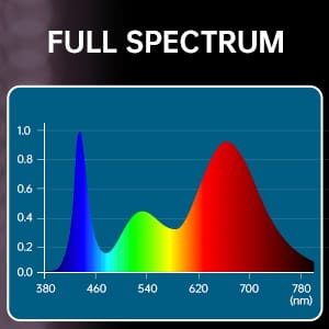 full spectrum