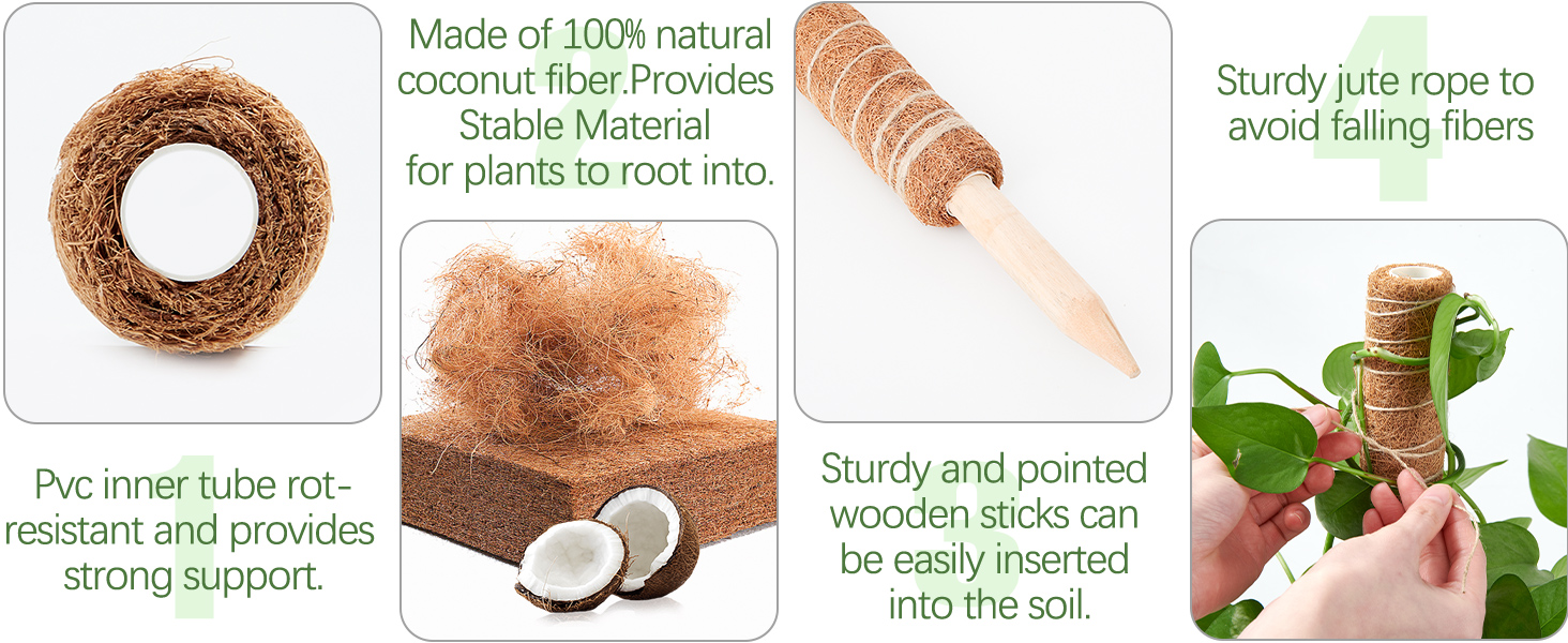 老款椰棕杆2只装高级04