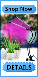 plant growth light