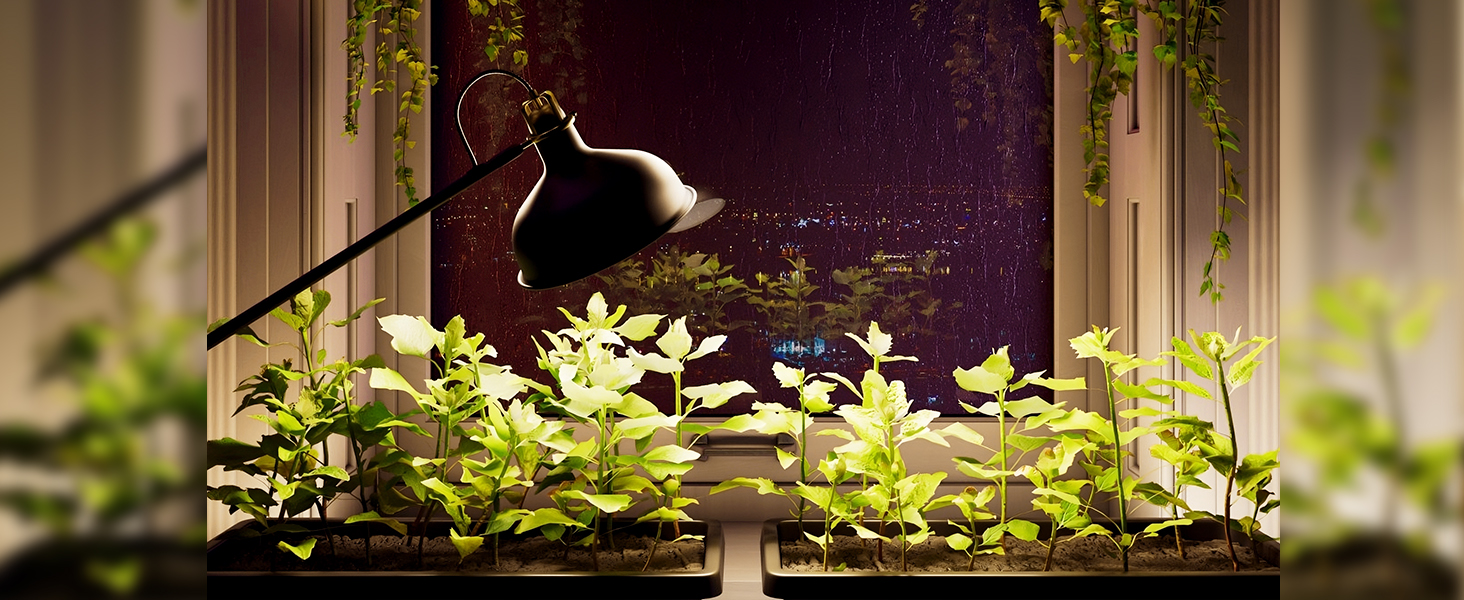 grow light bulbs