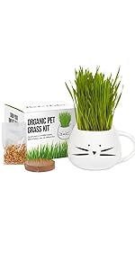 Cat Planter Mug (White)
