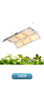 4x4 ft grow lights