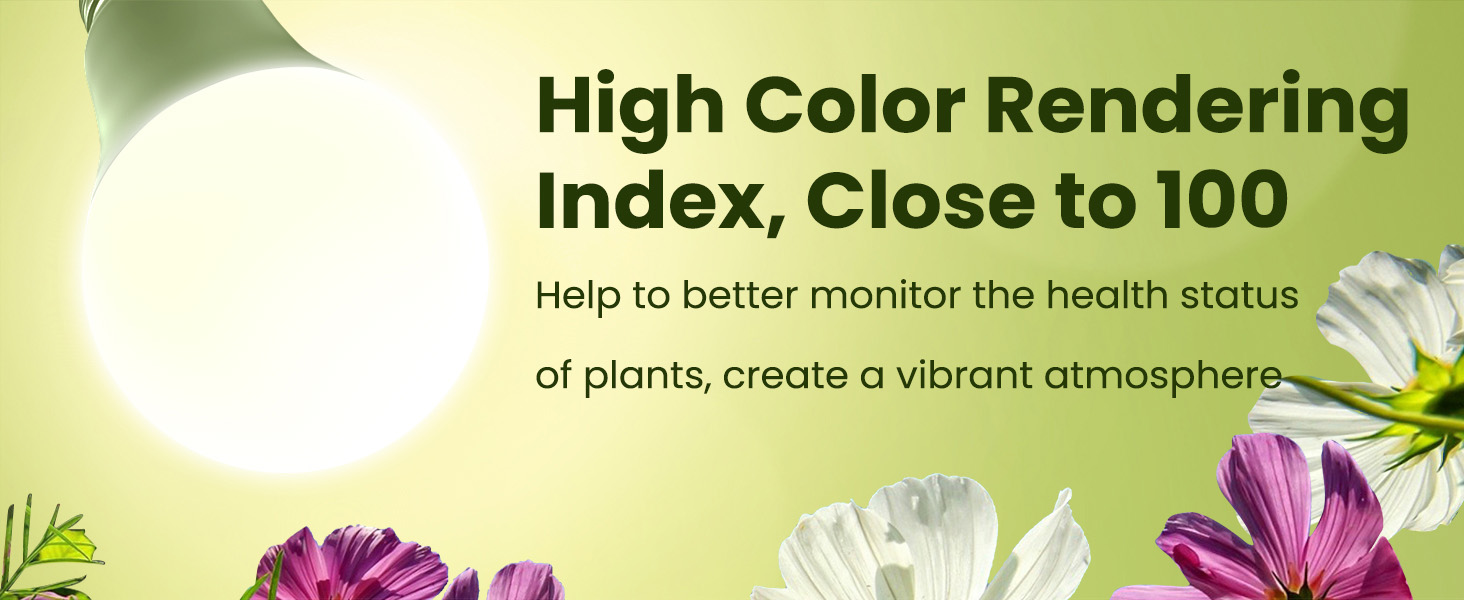 grow bulbs for indoor plants