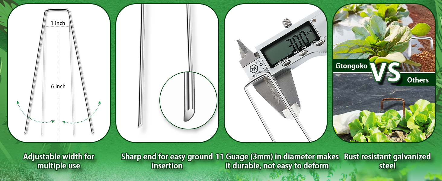 Landscape Staples-NEW