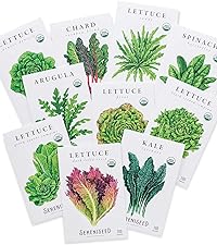 Sereniseed Certified Organic Leafy Greens Lettuce Seeds Variety Collection Pack