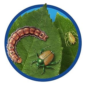 Kills insects on contact