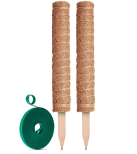 vining plant clips plant holder for wall hooks for hanging plants plant wall hooks vine wire