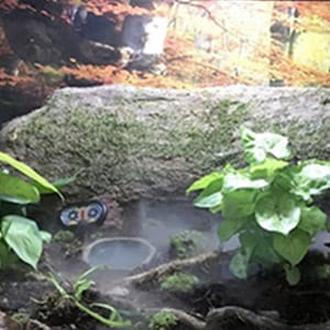 usb fogger mist maker 3 head mist maker skull mist maker icstation 20mm ultrasonic mist maker