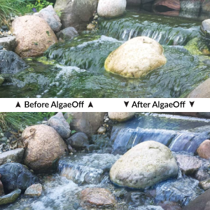 AlgaeOff Before after