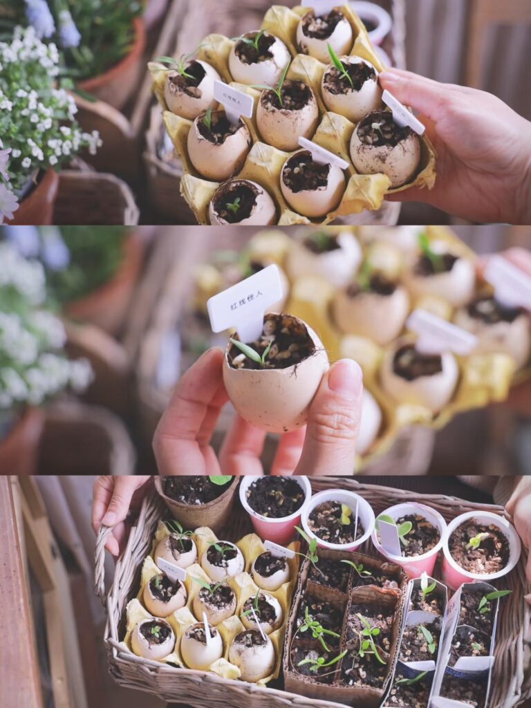 Top 5 Eco-Friendly Planting Pots for Sustainable Gardening